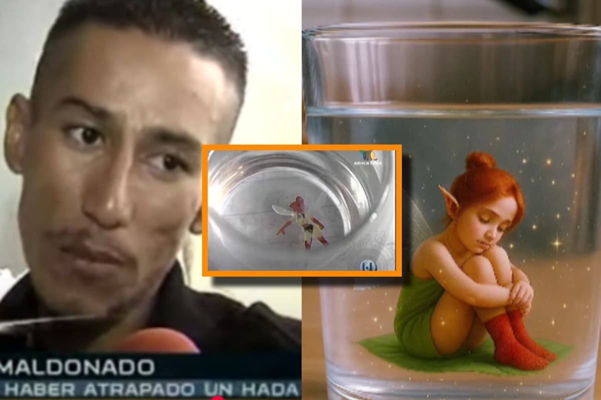 Así fue el terrible final del hombre que se hizo viral en Guadalajara por encontrar un hada real