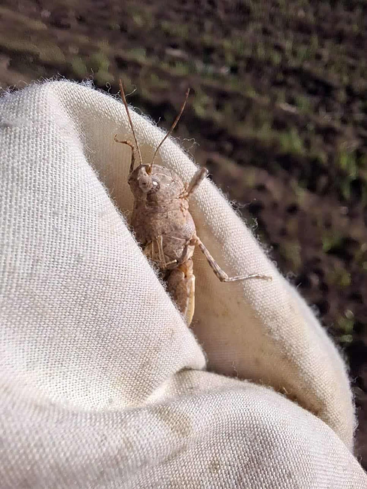 Foto: Mayra Echeverría.