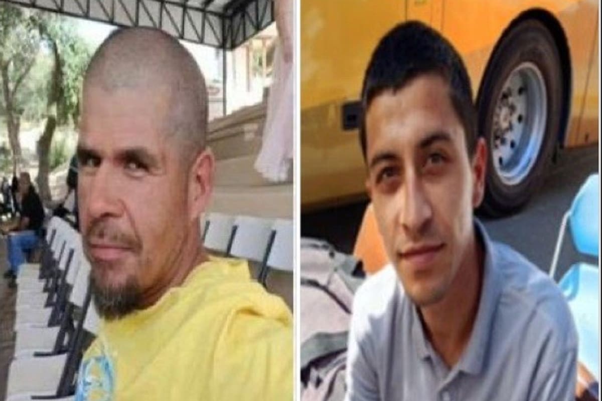 Localizan con vida a cuatro personas desaparecidas en Ensenada