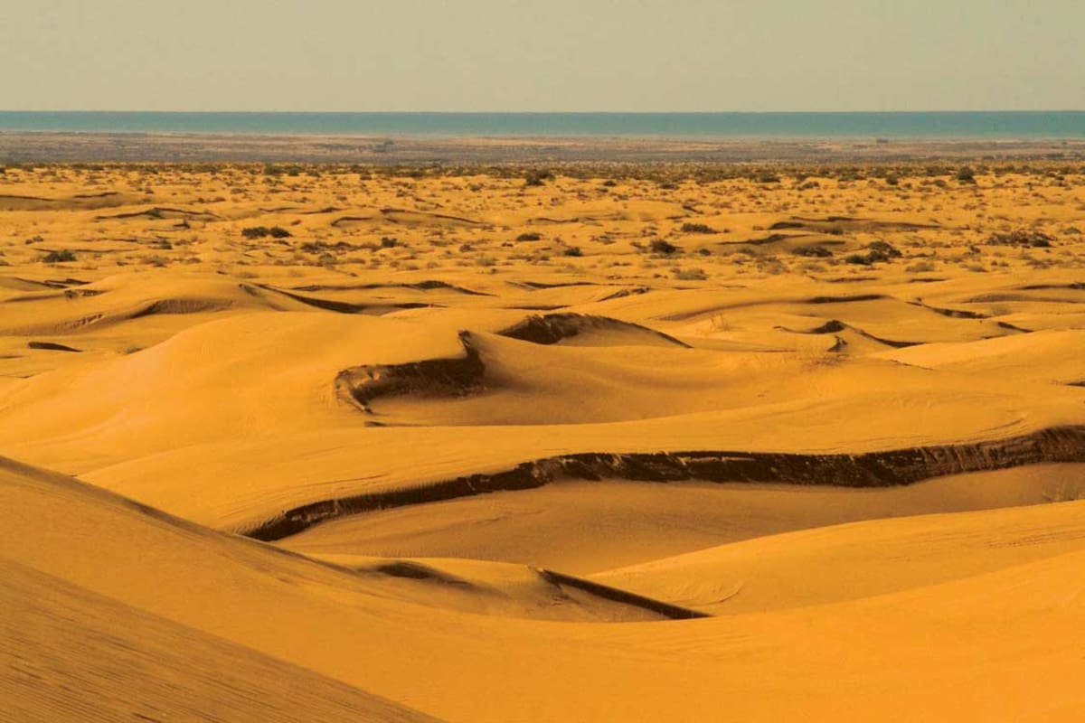 La Reserva de la Biosfera, El Pinacate y Gran Desierto de Altar ha protegido a más de mil especies de flora y fauna.