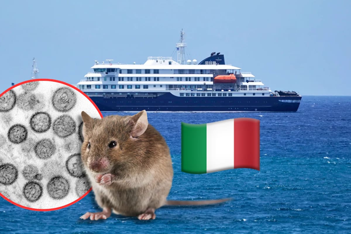 Italia vigilará a 4 pasajeros por posible contacto de fallecida por hantavirus, OMS descartó riesgo para población general