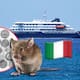 Italia vigilará a 4 pasajeros por posible contacto de fallecida por hantavirus, OMS descartó riesgo para población general