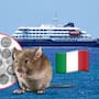 Italia vigilará a 4 pasajeros por posible contacto de fallecida por hantavirus, OMS descartó riesgo para población general