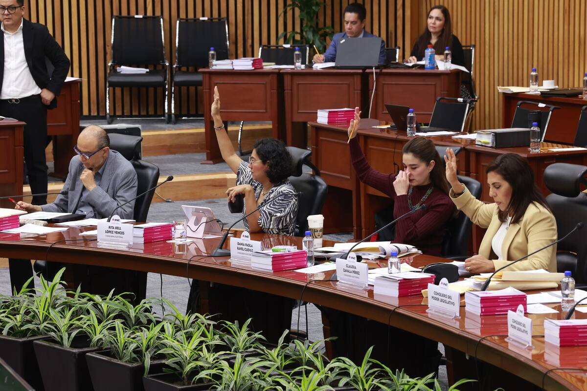 INE reanudará trabajos para la elección judicial de 2025 el 20 de noviembre: Taddei