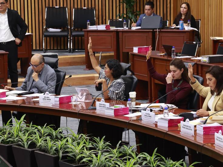 INE reanudará trabajos para la elección judicial de 2025 el 20 de noviembre: Taddei