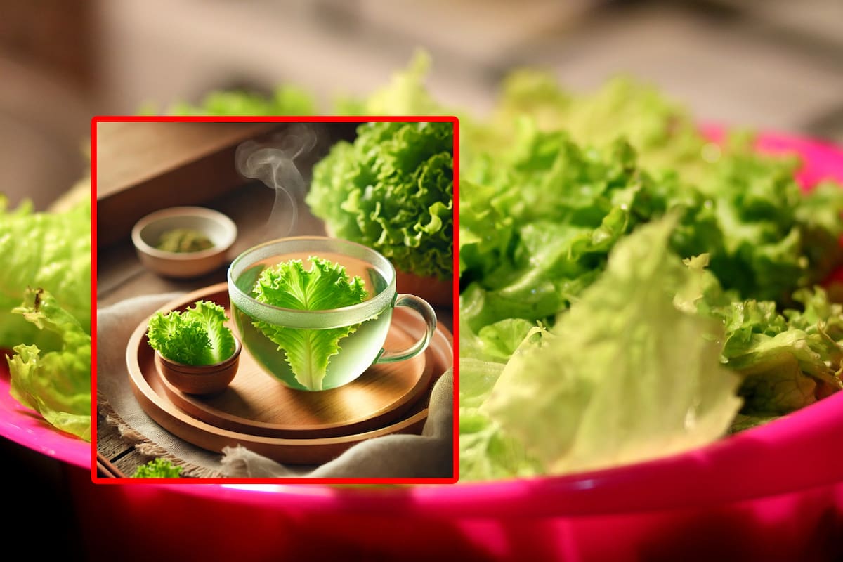 ¿Cuáles son los beneficios de tomar té de lechuga?