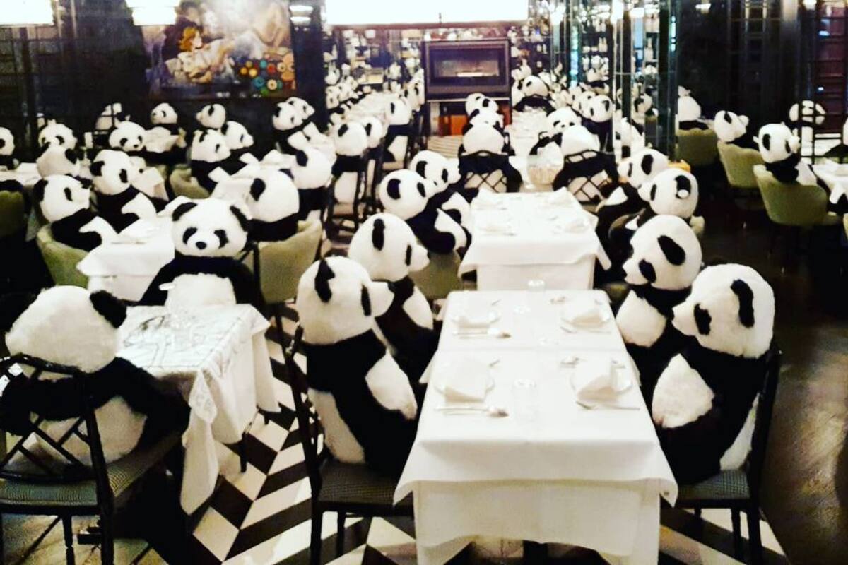 Restaurante protesta contra cuarentena con ositos de peluche