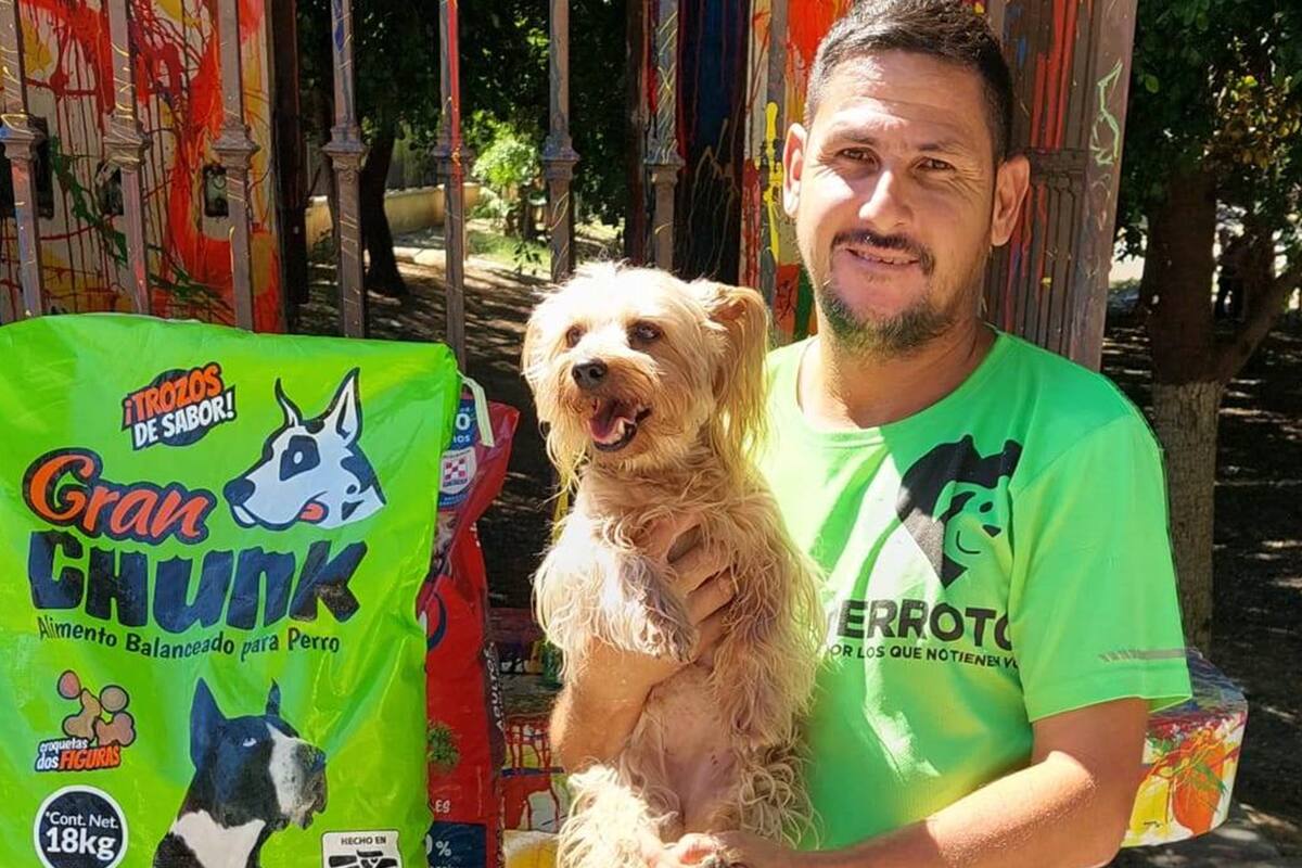 "Perrotón" busca reunir más de 500 kilos de comida para perros y gatos: Hermosillo