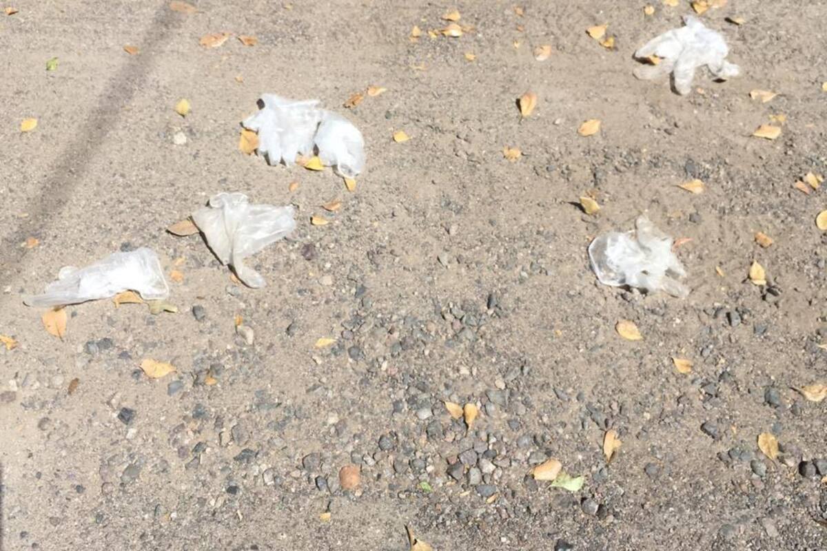 Piden no tirar cubrebocas y guantes en las calles