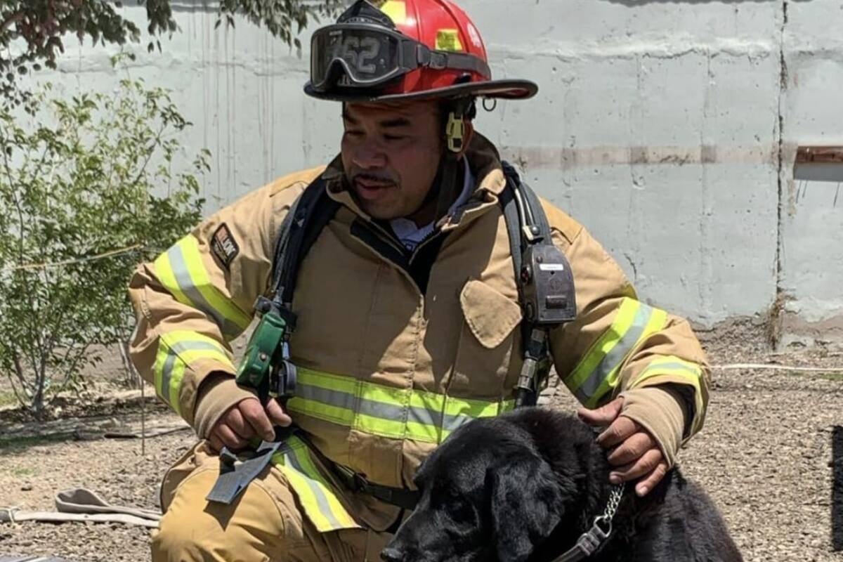 Piden apoyo para encontrar a Max, el perro rescatista de Bomberos Tijuana