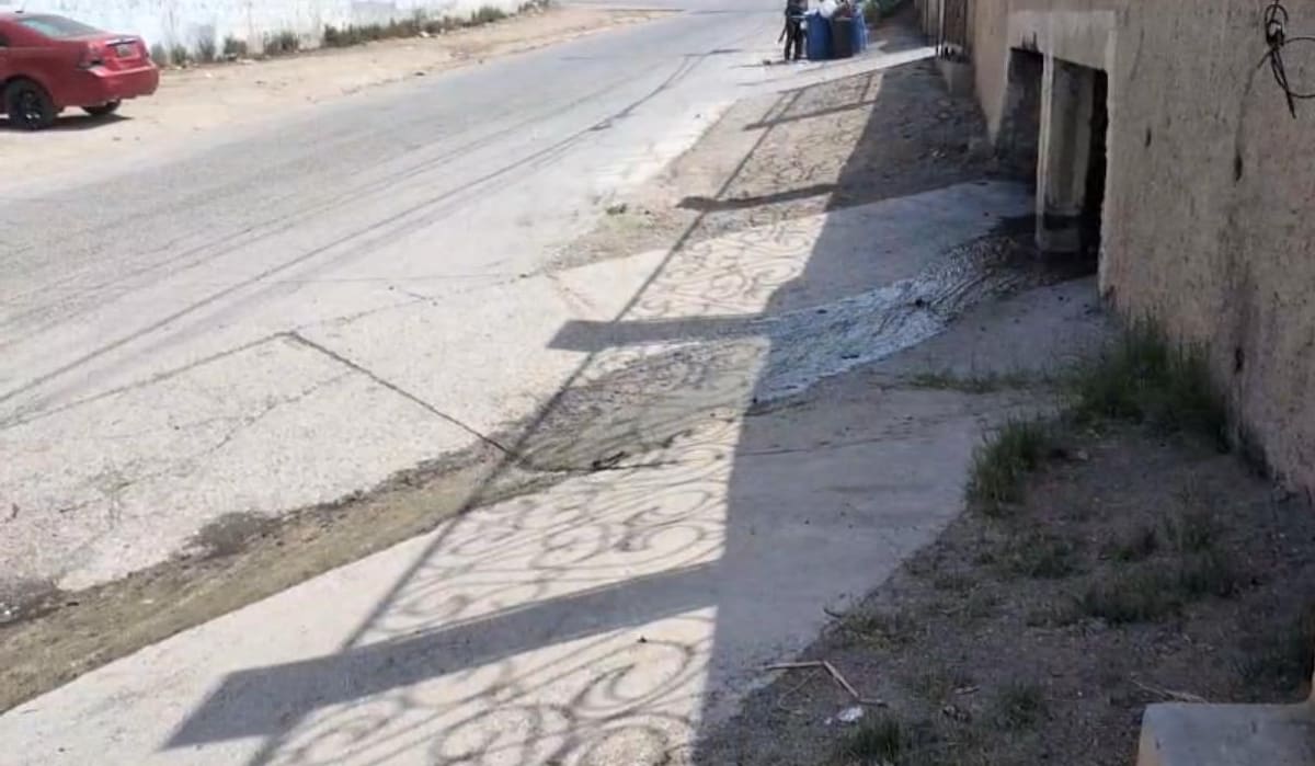 Foto: cortesía