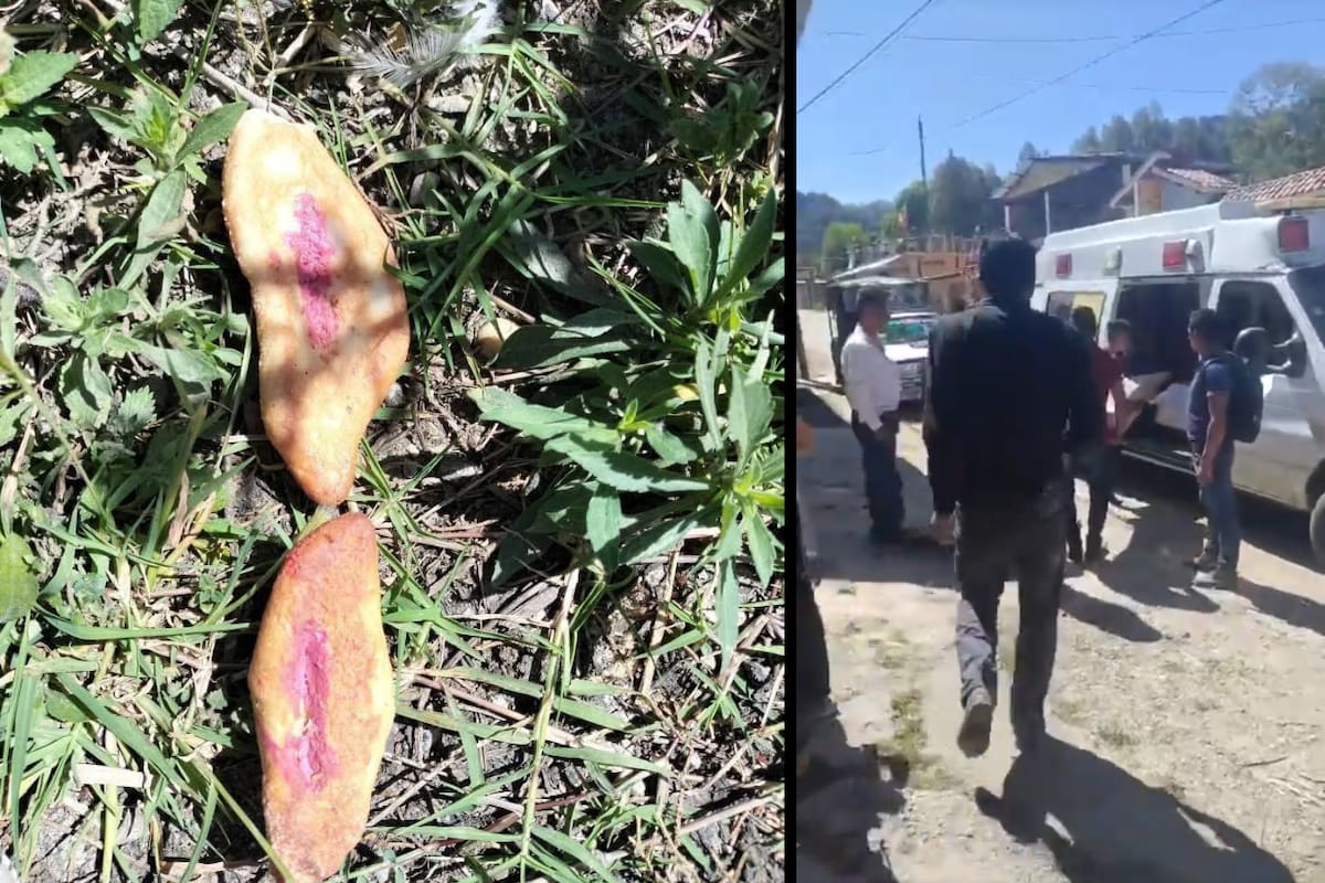 Tres niñas mueren tras consumir pan envenenado en El Bosque, Chiapas