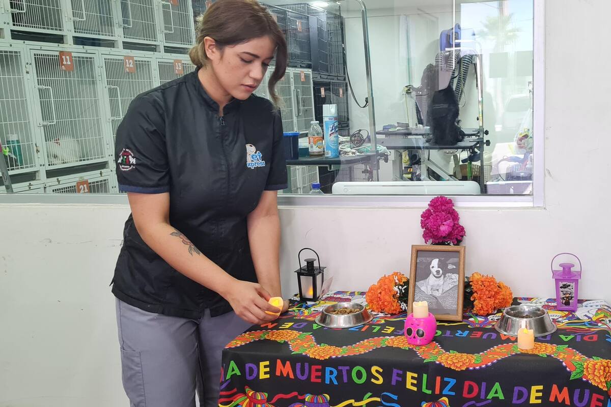 Hermosillo: Ponen altar de muertos en honor a su mascota "Akane"