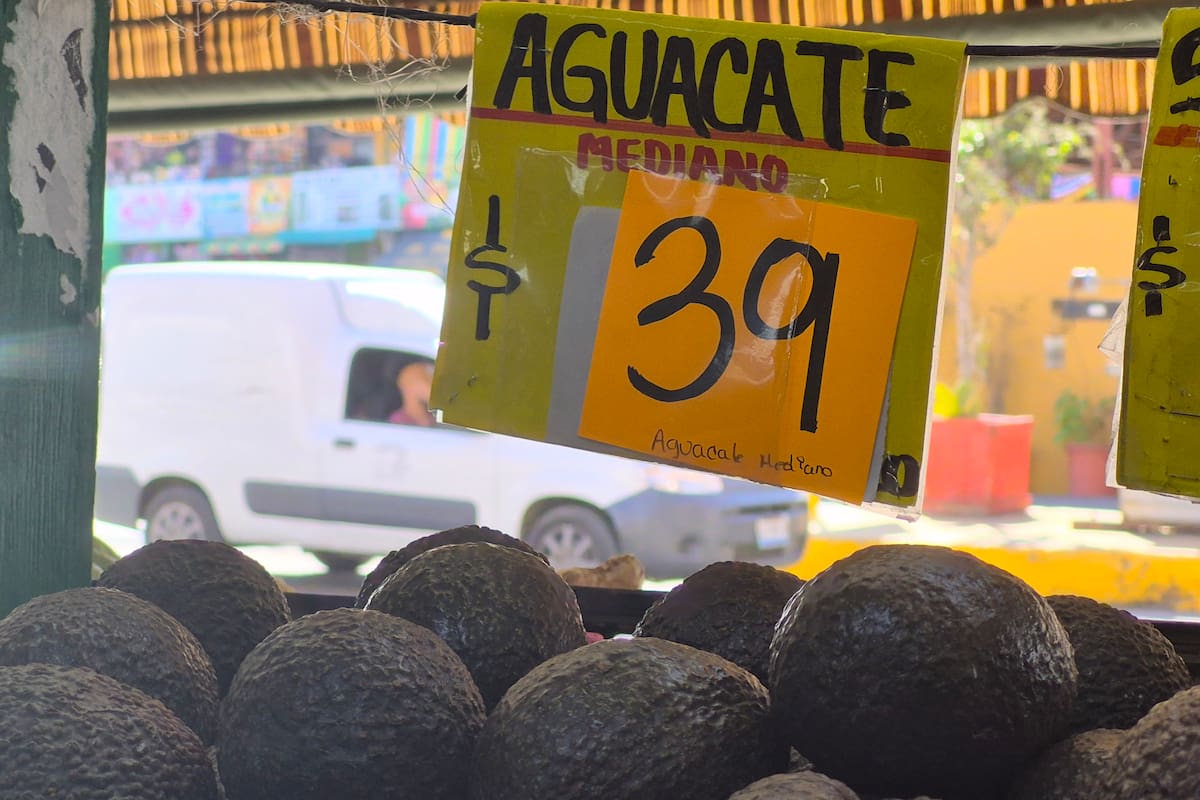 Comerciantes prevén repunte en venta de aguacate por fin de semana de Super Bowl
