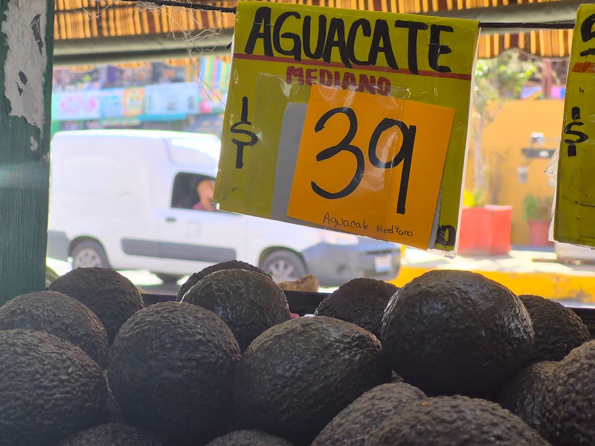 Vendedores locales de frutas y verduras señalaron que esperan mayor movimiento entre viernes y domingo, impulsado por reuniones familiares y precios más bajos que en otras temporadas. Foto: Michelle Castillo