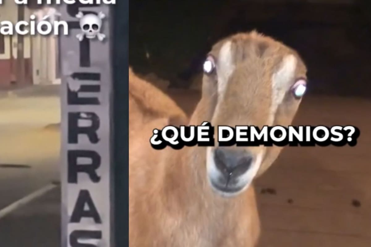 Skinwalkers: Conoce qué son y por qué se han viralizado en redes sociales