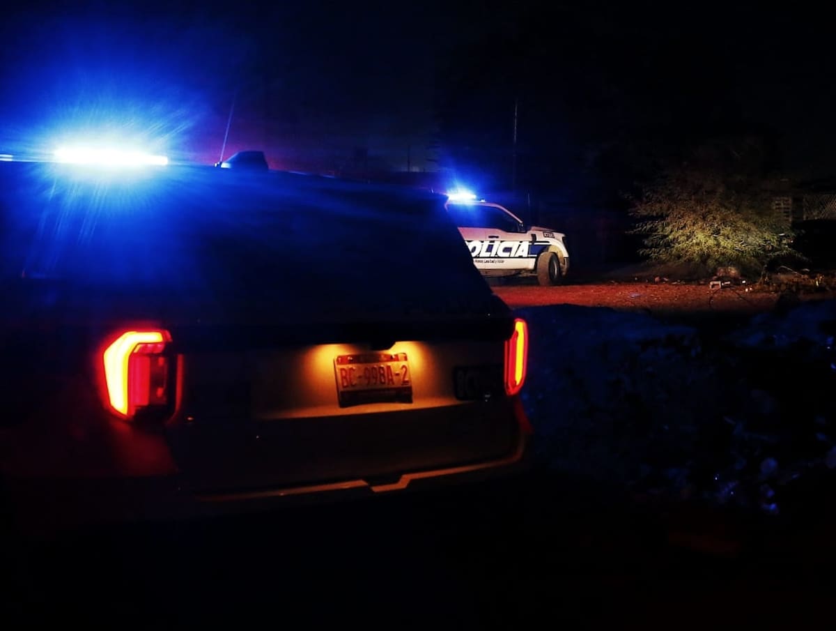 Foto: Saúl Martínez.