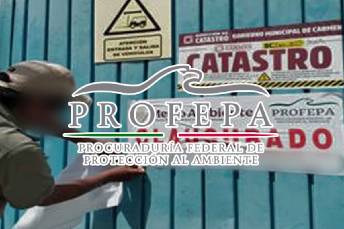 Clausuran empresa industrial en Campeche por operar sin permiso ambiental: Profepa impone multa y abre procedimiento