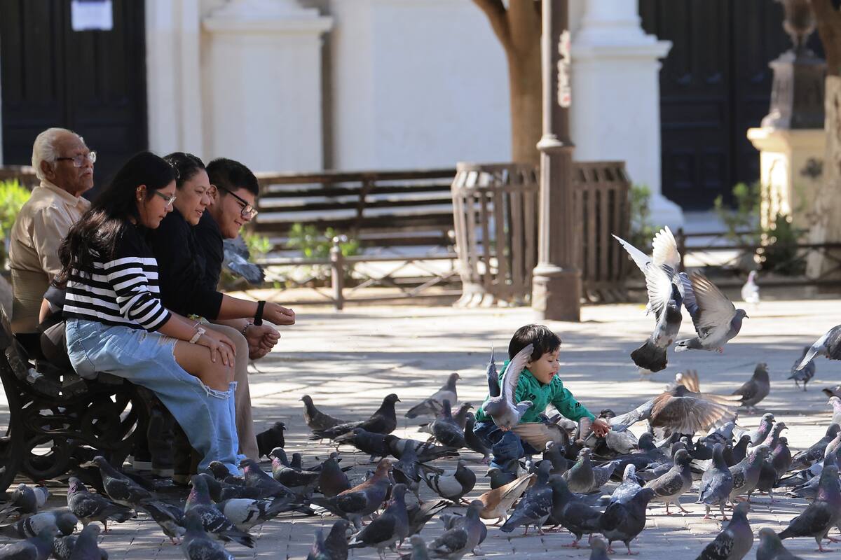 Bajarán las temperaturas en Sonora por nuevo frente frío: ¿cuánto marcará el termómetro?