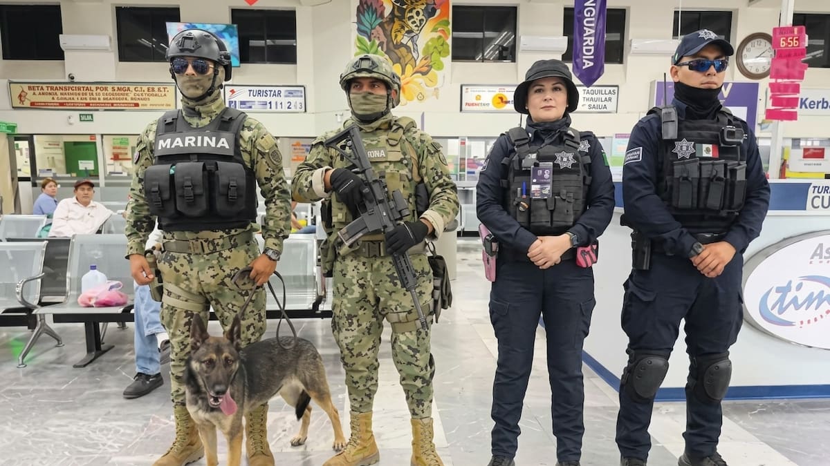 Sya, la agente canina de la Marina que apoya en operativos de seguridad en Cajeme