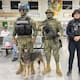 Sya, la agente canina de la Marina que apoya en operativos de seguridad en Cajeme