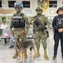 Sya, la agente canina de la Marina que apoya en operativos de seguridad en Cajeme