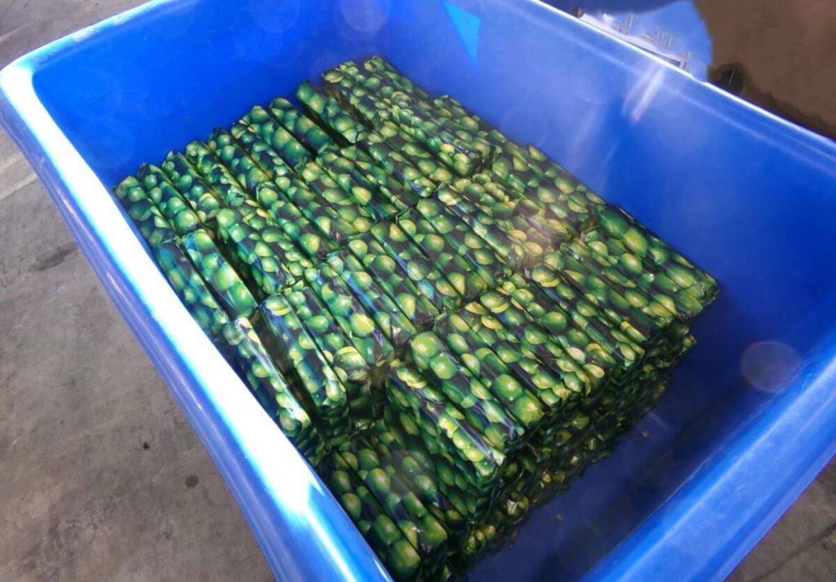 La droga estaba oculta en un cargamento de limones.