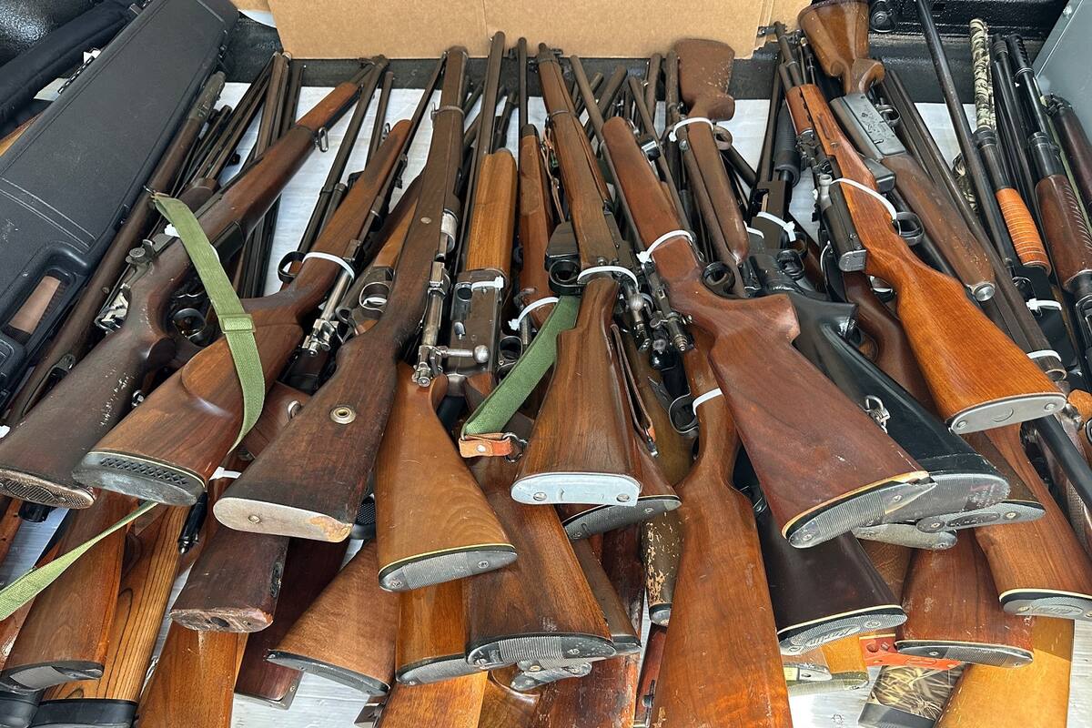 Recolectan en San Diego casi 200 armas en colecta