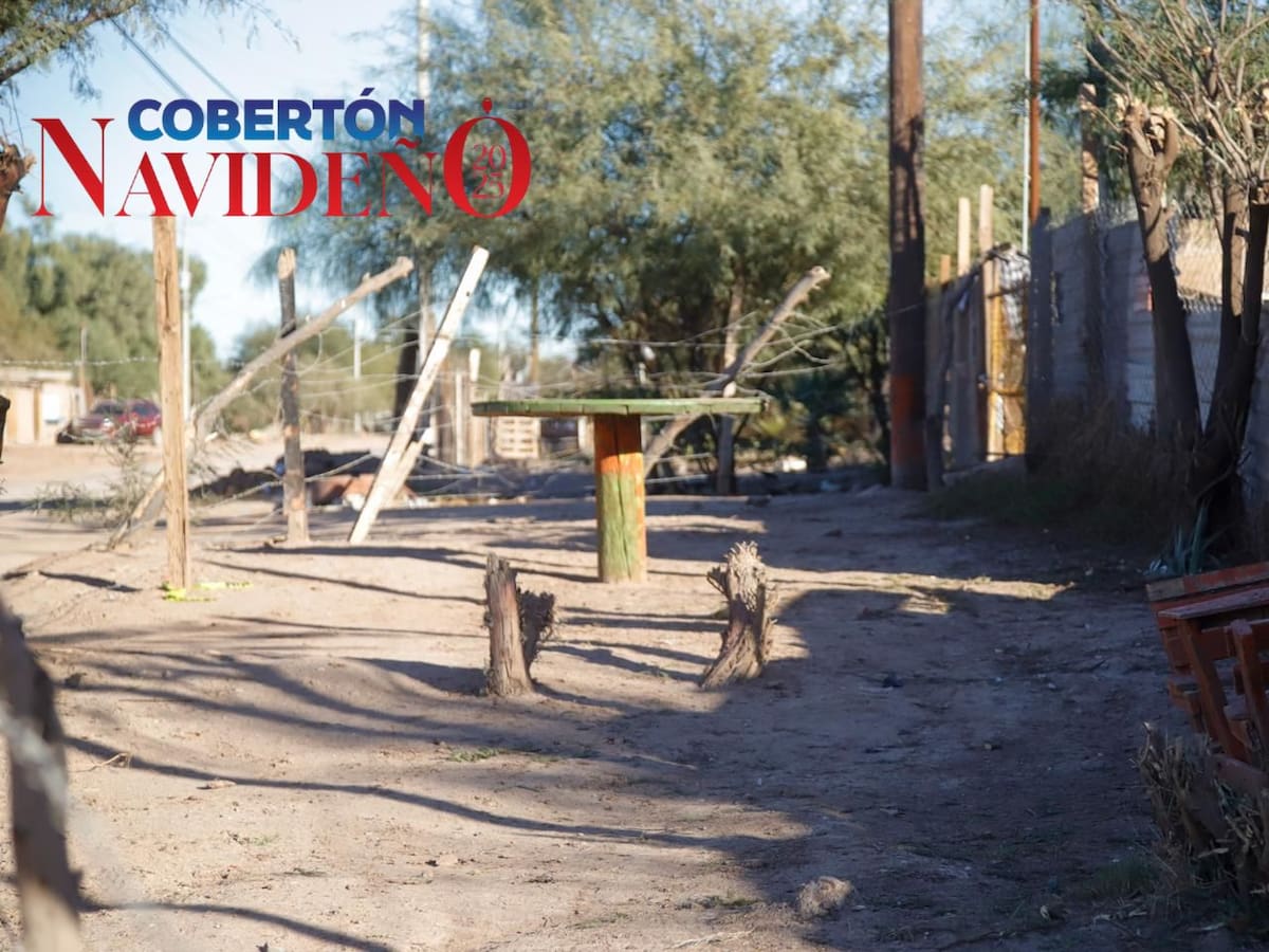 Foto: Javier Gallegos