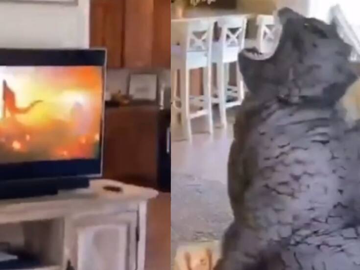 Niño disfrazado de Godzila se viraliza en TikTok por rugir enfrente de una pantalla