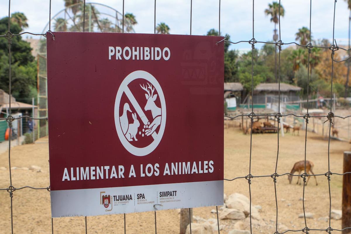 Investigan a exdirectores del Parque Morelos por presuntas irregularidades en manejo del zoológico