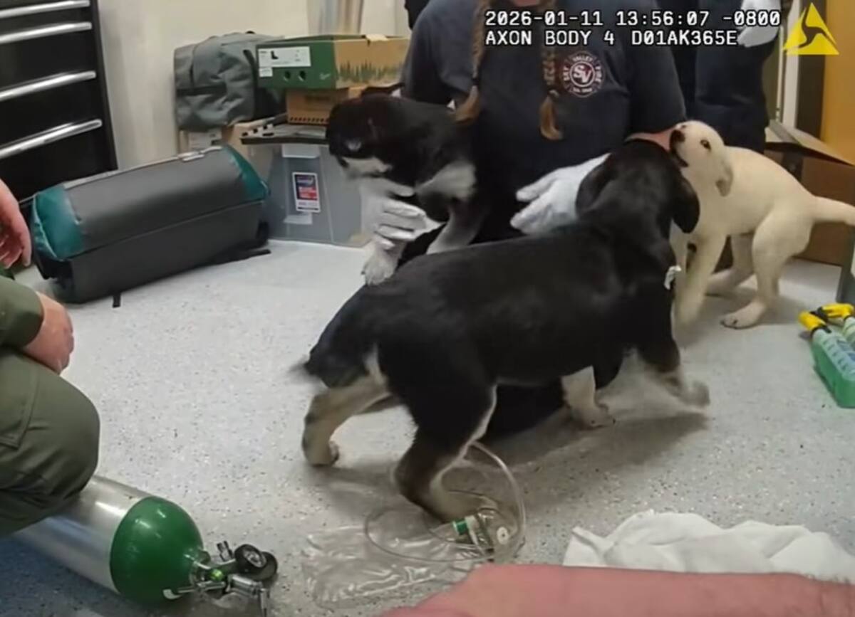 Foto: Captura de video.