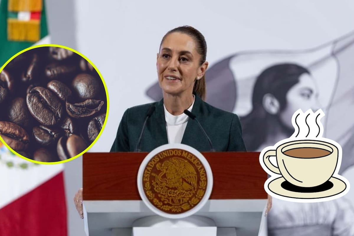 Claudia Sheinbaum anuncia el “Café del Bienestar” para apoyar a mujeres cafetaleras de Guerrero