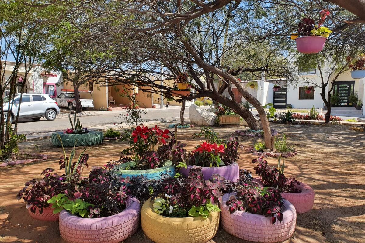 Hermosillo: Revive parque en Privadas del Mirador