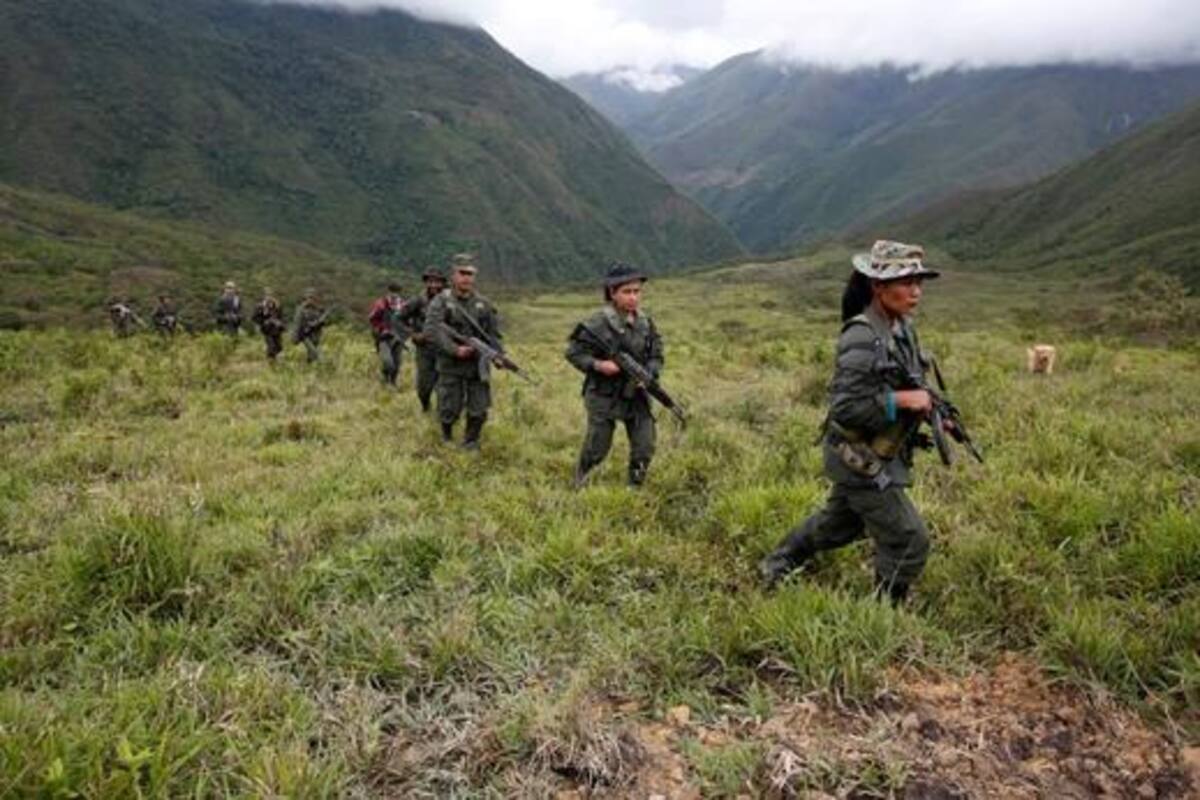 Colombia: EU espera retirar a las FARC de la lista de organizaciones terroristas a fines de noviembre