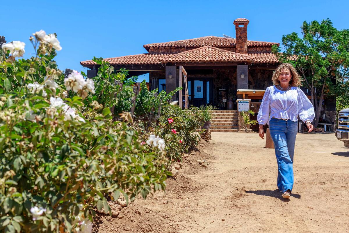 Casa Emiliana: Promesa del Valle de Guadalupe