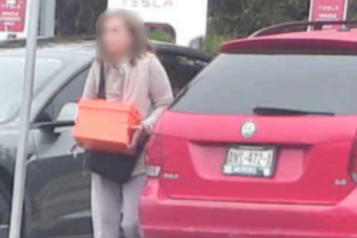 Arrestan a mujer de Tijuana por tráfico de reptiles protegidos