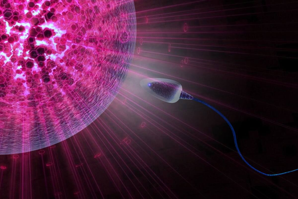 La Covid-19 podría causar infertilidad masculina y disfunción sexual, pero las vacunas no