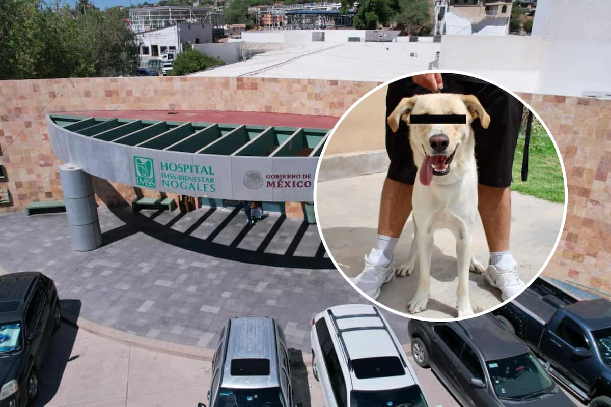 Jauría de perros lesiona a mujer de 51 años en Nogales