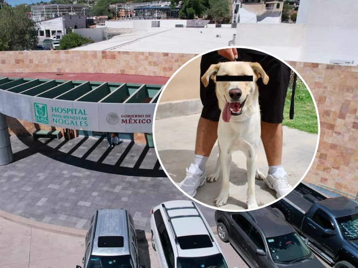 Jauría de perros lesiona a mujer de 51 años en Nogales