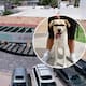 Jauría de perros lesiona a mujer de 51 años en Nogales