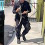 Pelea de iguanas moviliza a Policía de Yucatán y las calman con galletas de coco