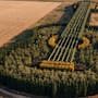 Plantó miles de árboles para formar una guitarra en medio del campo en y convirtió el amor por su esposa en una obra visible solo desde el aire