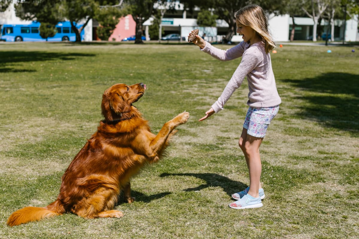 Hablar con los perros: más que un hábito, un puente emocional