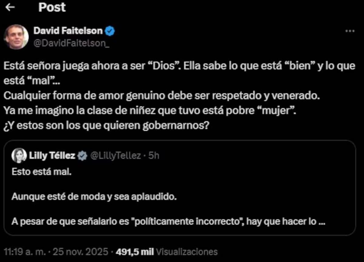David Faitelson crtiticó a Lilly Téllez por reprobar que una pareja del mismo sexo haya adoptado a un menor, y la acusa de juega a ser Dios por decidir que está bien y que está mal. | Captura de pantalla X @DavidFaitelson_