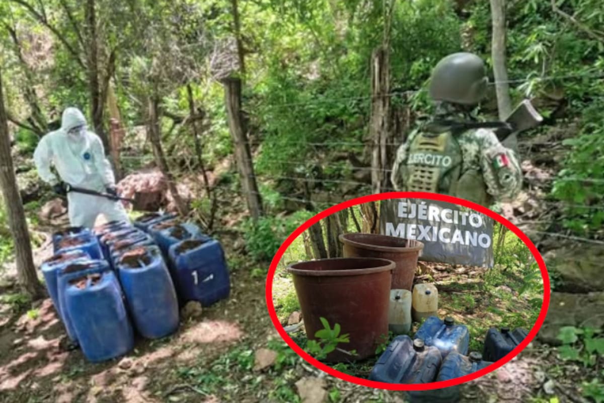 Aseguran y destruyen centros químicos clandestinos en zona rural de Culiacán; hallan 650 litros de acetona y ácido clorhídrico