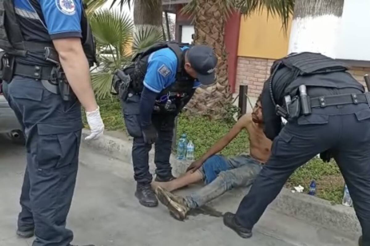 Policiaca Ensenada: Hombre en situación de calle es atacado por jauría de perros