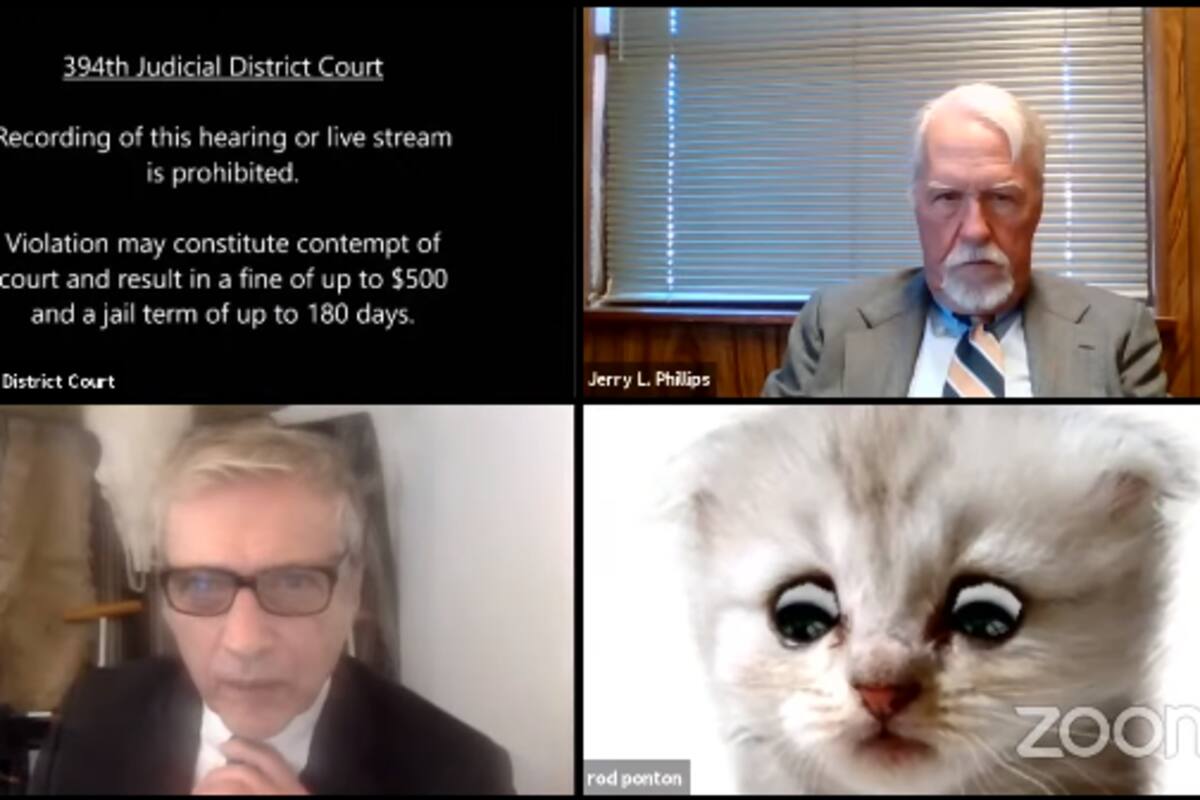 "No soy un gato": El divertido momento en el que abogado no puede apagar el filtro de gatito durante su comparecencia ante un tribunal