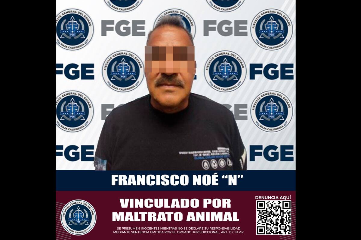 Prisión preventiva para hombre acusado de matar a perrito en colonia Granjas Santa Cecilia