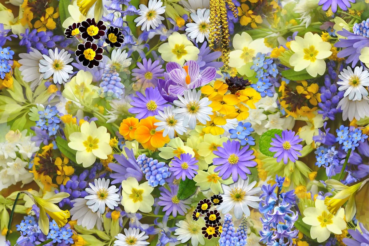 ¿Qué significa la palabra ‘primavera’ y por qué se relaciona con la mitología griega?